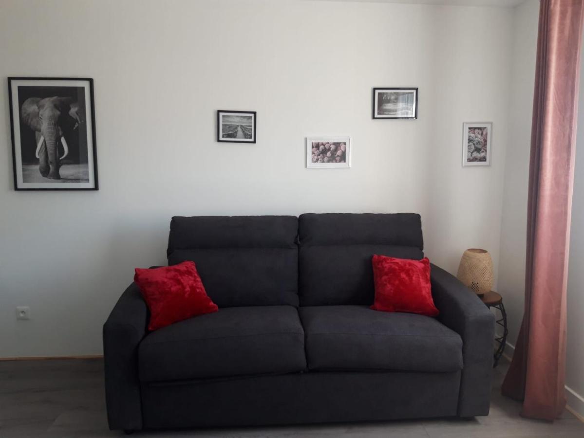 Gambetta Insolite Apartment Chambery Luaran gambar