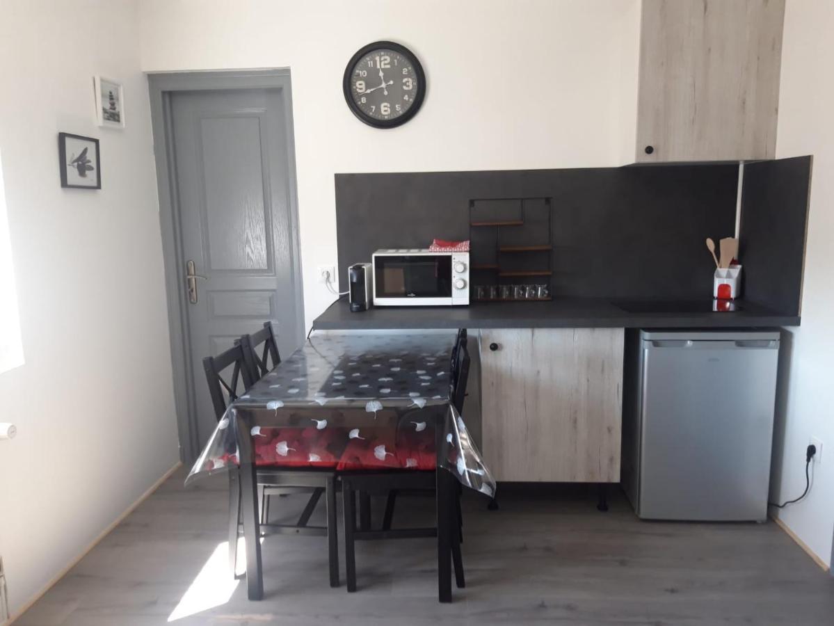 Gambetta Insolite Apartment Chambery Luaran gambar