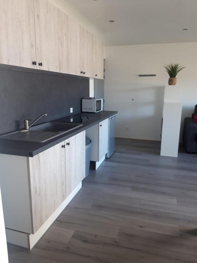 Gambetta Insolite Apartment Chambery Luaran gambar