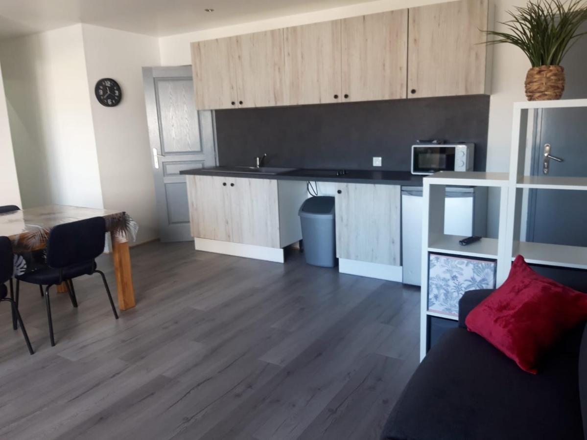 Gambetta Insolite Apartment Chambery Luaran gambar