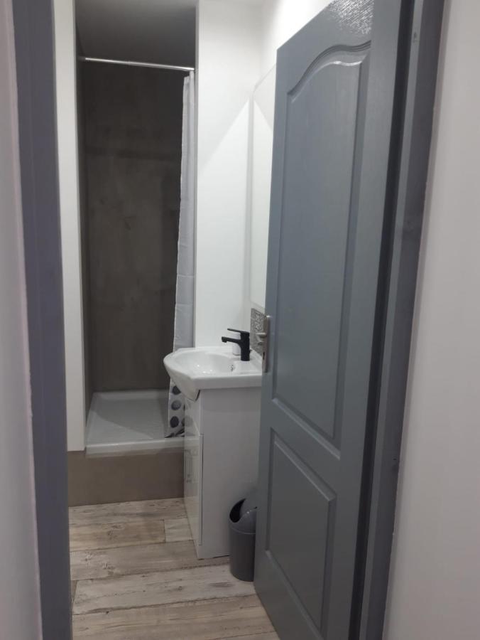 Gambetta Insolite Apartment Chambery Luaran gambar