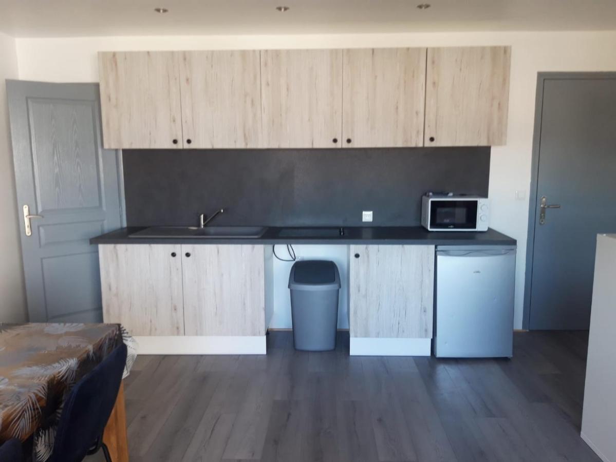 Gambetta Insolite Apartment Chambery Luaran gambar