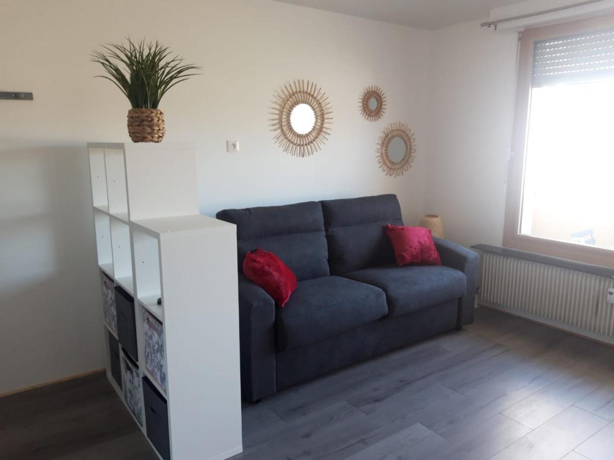 Gambetta Insolite Apartment Chambery Luaran gambar
