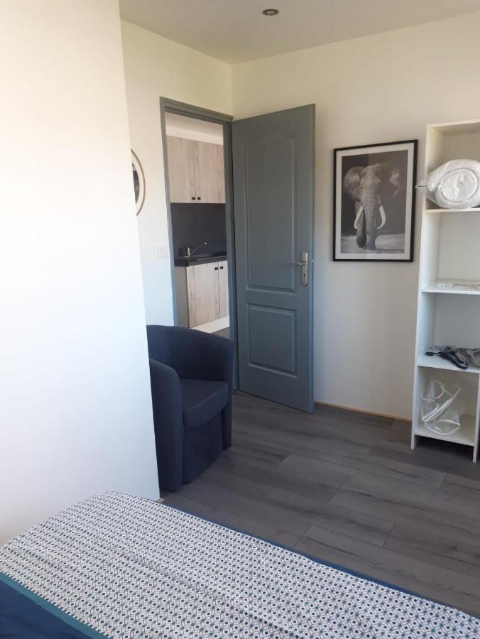 Gambetta Insolite Apartment Chambery Luaran gambar
