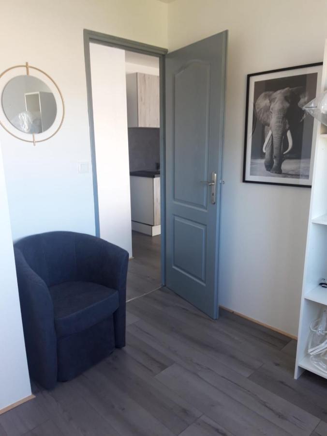 Gambetta Insolite Apartment Chambery Luaran gambar